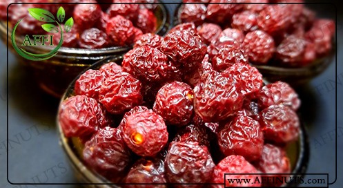 بازار خرید آلبالو خشکه درجه یک