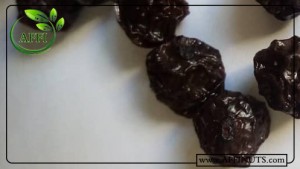 خرید مستقیم البالو خشک ممتاز