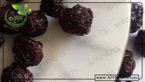 بسته بندی البالو خشکه ممتاز