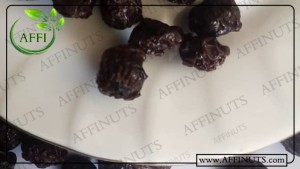 برترین مرکز خرید آلبالو خشکه با کیفیت