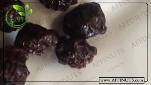 تولید مستقیم آلبالو خشکه درجه یک